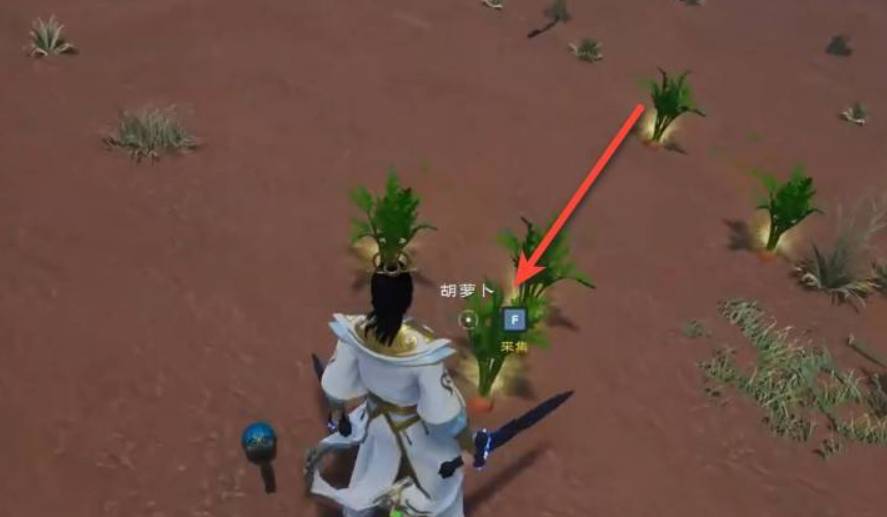 太荒初境萝卜在哪里?太荒初境萝卜位置介绍