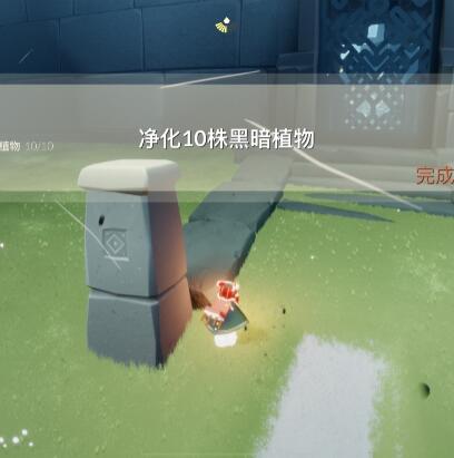 光遇7月20日每日任务怎么完成?光遇7月20日每日任务完成攻略