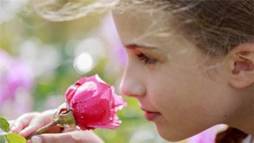 常听说视觉疲劳，那会有嗅觉疲劳吗?支付宝蚂蚁庄园7月15日答案