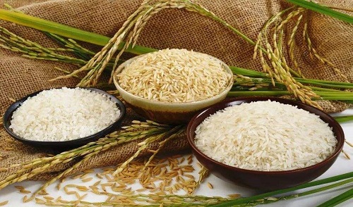 民间有小暑食新的习俗，是指?支付宝蚂蚁庄园7月7日答案