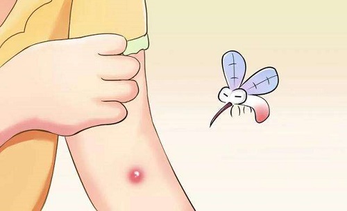 孕妇和宝宝更容易招蚊子，真是这样吗?支付宝蚂蚁庄园7月6日答案