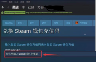 steam充值卡怎么使用?steam充值卡使用教程