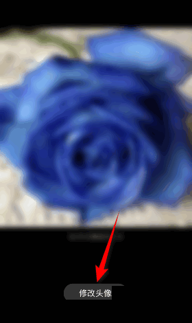 百词斩怎么修改头像？百词斩修改头像教程