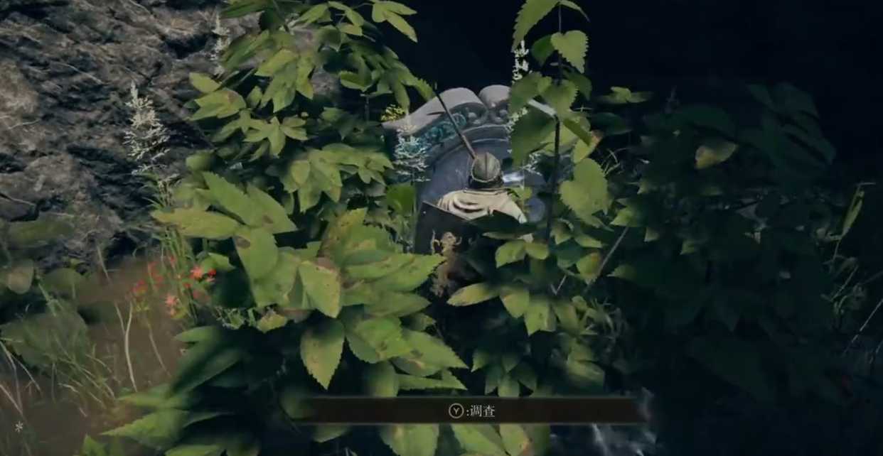 艾尔登法环龙墓洞窟怎么进入?艾尔登法环龙墓洞窟进入攻略