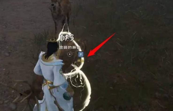 太荒初境未开化的灵魂怎么获得?太荒初境未开化的灵魂获得攻略