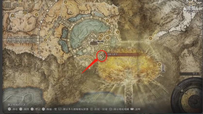 艾尔登法环荷莱露在哪里?艾尔登法环荷莱露位置介绍