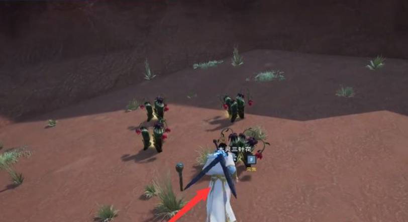 太荒初境木灵三针花在哪里?太荒初境木灵三针花位置介绍