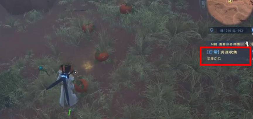 太荒初境南瓜怎么获得?太荒初境南瓜获得攻略