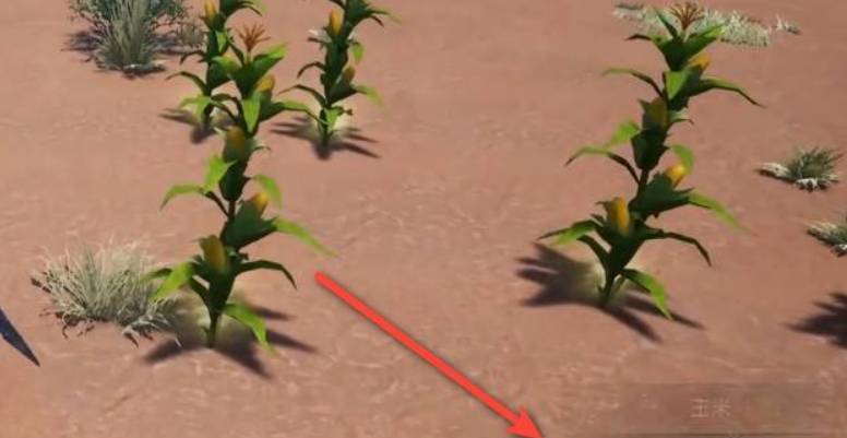 太荒初境玉米在哪里?太荒初境玉米位置介绍