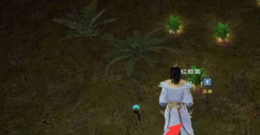 太荒初境红甜菜怎么获得?太荒初境红甜菜获得攻略