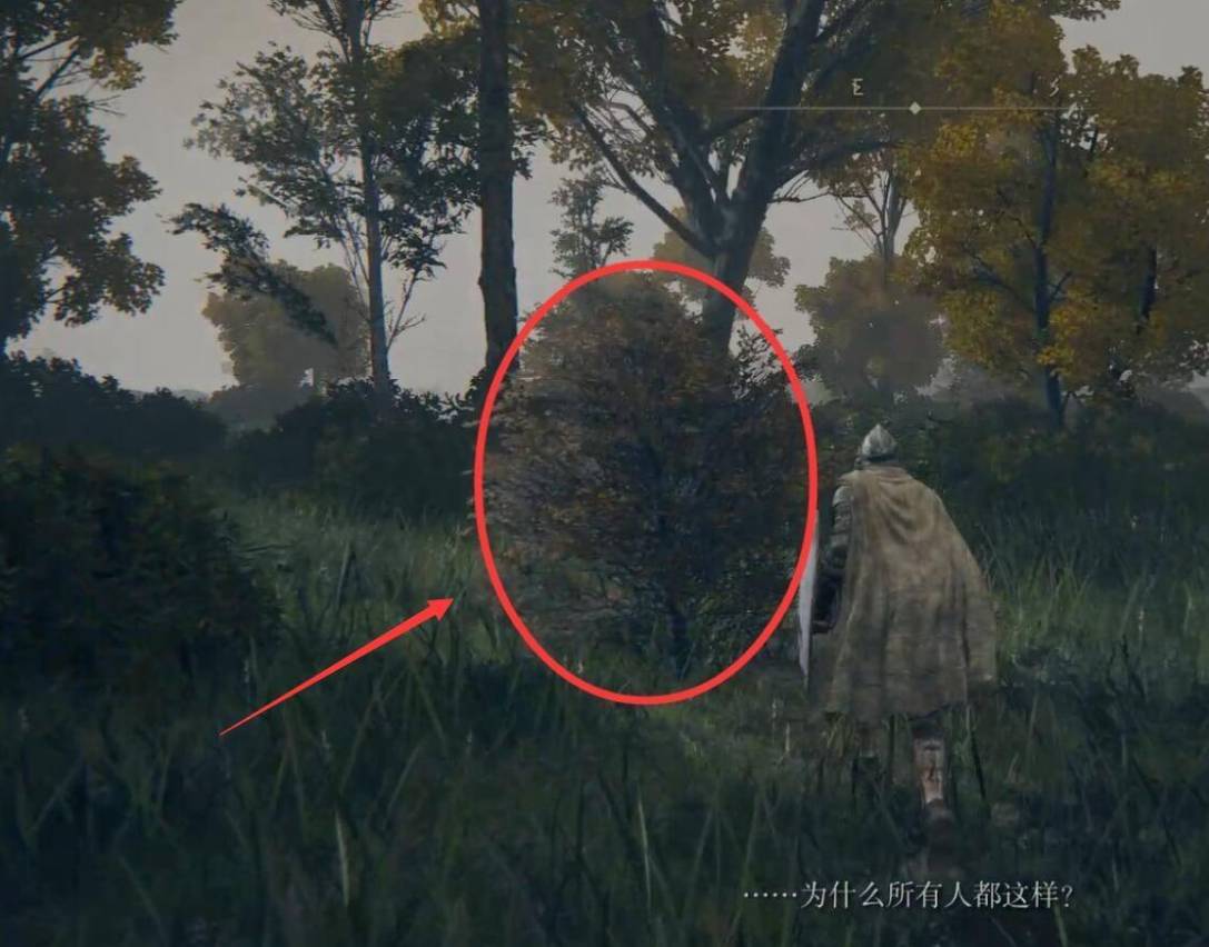 艾尔登法环柏克在哪里?艾尔登法环柏克位置介绍