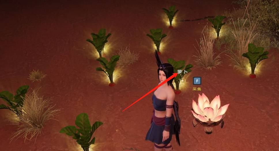 太荒初境胡萝卜在哪里?太荒初境胡萝卜位置介绍