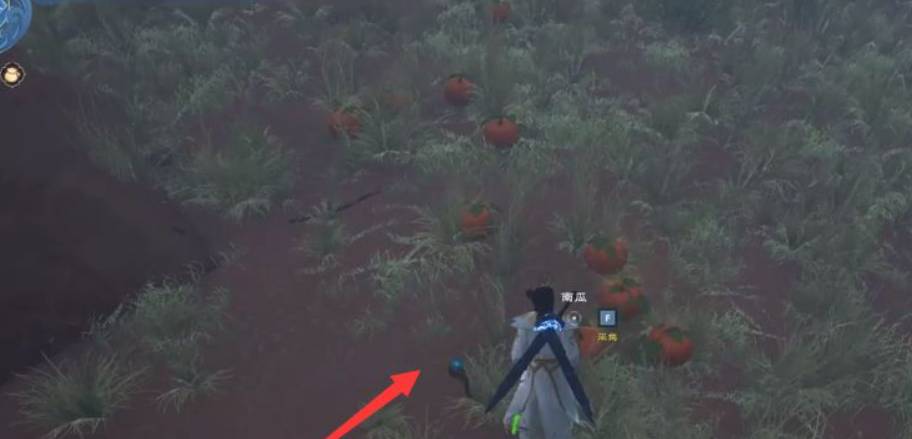 太荒初境南瓜怎么获得?太荒初境南瓜获得攻略