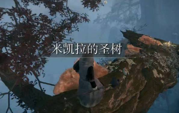 艾尔登法环圣树祈祷堂怎么进入?艾尔登法环圣树祈祷堂进入方法