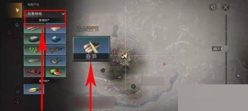 明日之后春笋路线是什么?明日之后春笋路线介绍