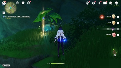 原神沉睡的根系任务怎么完成?原神沉睡的根系任务完成攻略