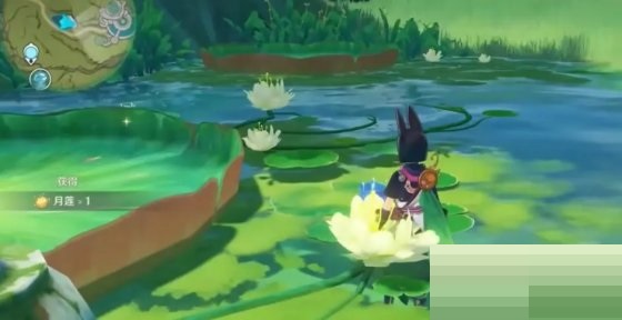 原神提纳里技能怎么样？原神提纳里技能介绍