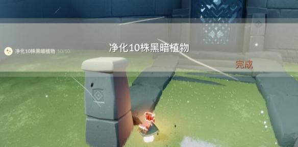 光遇8月3日每日任务怎么完成?光遇8月3日每日任务完成攻略