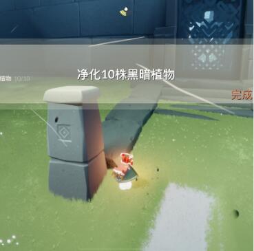 光遇8月2日每日任务怎么完成?光遇8月2日每日任务完成攻略