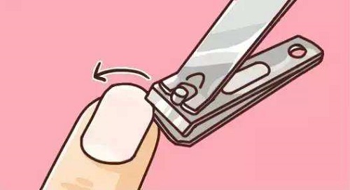 为什么剪指甲时不会感到疼?支付宝蚂蚁庄园8月30日答案