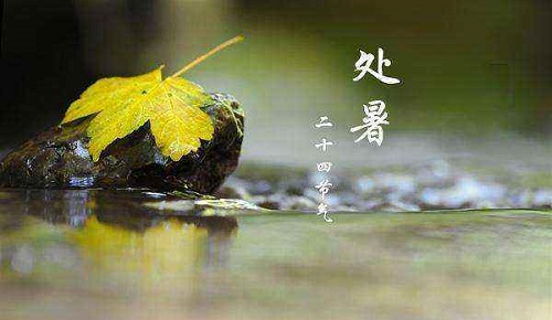 小鸡宝宝考考你处暑节气的处读第几声?支付宝蚂蚁庄园8月23日答案