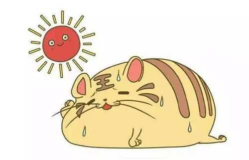 人们常说的秋老虎一般发生在什么时候?支付宝蚂蚁庄园8月9日答案