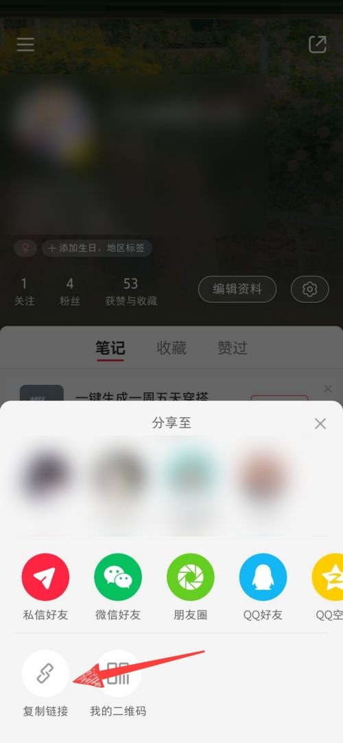 小红书个人主页链接怎么查看?小红书个人主页链接查看方法