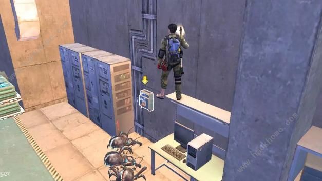 明日之后希望谷甲虫怎么打?明日之后希望谷甲虫打法攻略