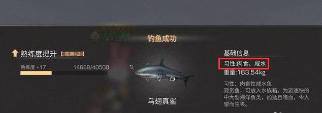 明日之后乌翅真鲨怎么钓?明日之后乌翅真鲨钓法攻略