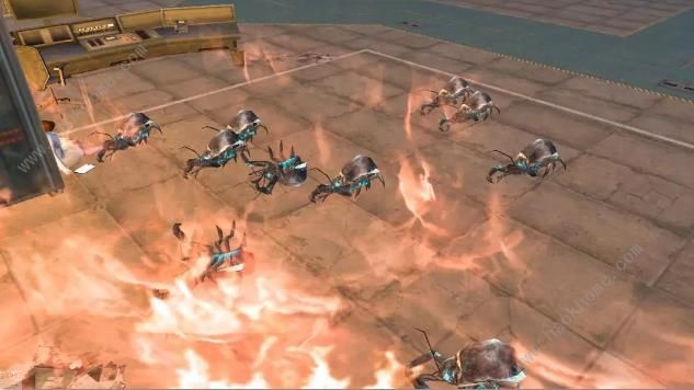 明日之后希望谷甲虫怎么打?明日之后希望谷甲虫打法攻略