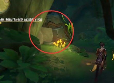 原神钵参花的封印怎么解除？原神钵参花的封印解除攻略