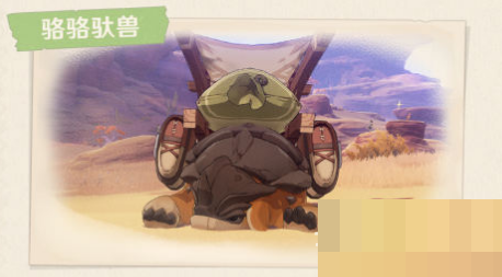 原神须弥沙漠有哪些生物及特产？原神须弥沙漠生物及特产一览