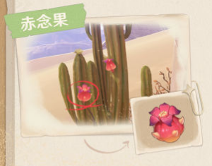 原神须弥沙漠有哪些生物及特产？原神须弥沙漠生物及特产一览