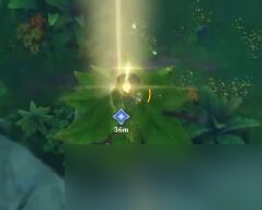 原神森林书第四章任务怎么完成？原神森林书第四章任务完成攻略