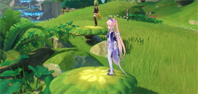 原神须弥双人宝箱在哪里?原神须弥双人宝箱位置介绍