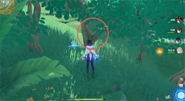 原神证悟木怎么最快收集?原神证悟木最快收集攻略