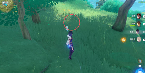 原神证悟木怎么最快收集?原神证悟木最快收集攻略