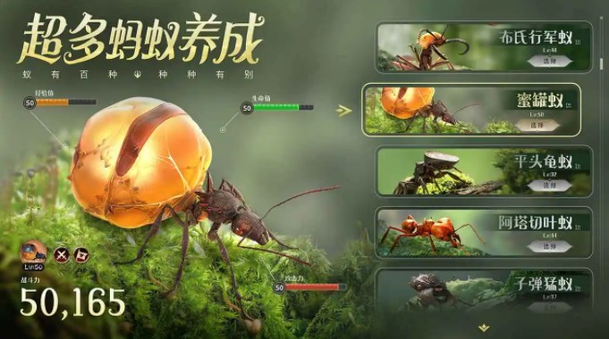 小小蚁国蚂蚁强度怎么排名?小小蚁国蚂蚁强度排名介绍