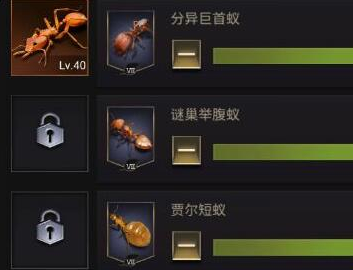小小蚁国兵蚁怎么培养?小小蚁国兵蚁培养攻略