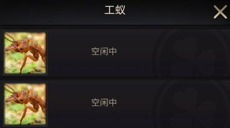 小小蚁国工蚁有什么用？小小蚁国工蚁作用介绍