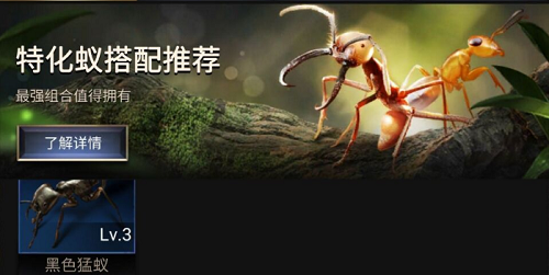小小蚁国特化蚁阵容怎么搭配？小小蚁国特化蚁阵容搭配攻略