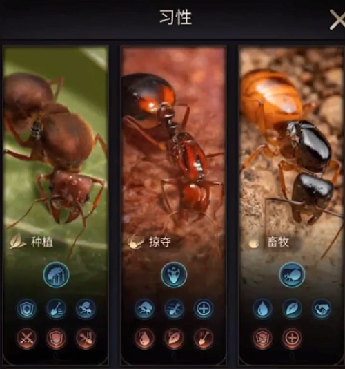 小小蚁国习性怎么选择?小小蚁国习性选择攻略