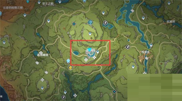 原神辉木在哪里获得?原神辉木获得位置介绍