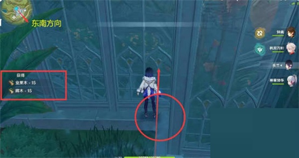 原神辉木在哪里获得?原神辉木获得位置介绍