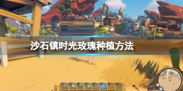 沙石镇时光玫瑰怎么种植？沙石镇时光玫瑰种植方法