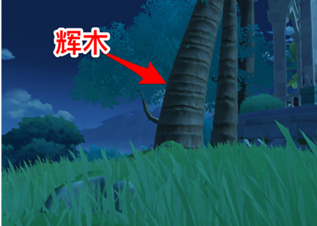 原神业果木在哪里采集？原神业果木采集位置介绍