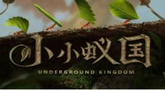 小小蚁国生物残骸怎么使用？小小蚁国生物残骸使用攻略