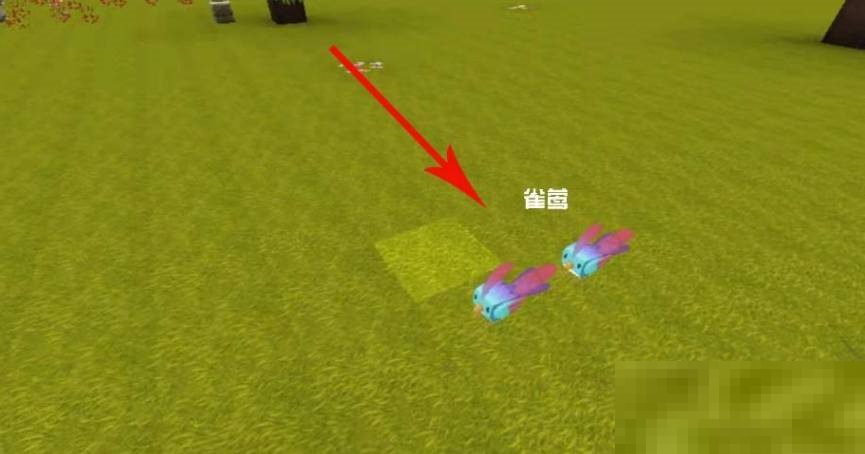 迷你世界雀莺羽毛怎么获得?迷你世界雀莺羽毛获得攻略