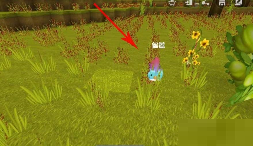 迷你世界雀莺羽毛怎么获得?迷你世界雀莺羽毛获得攻略