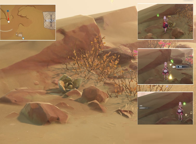 原神种植金蔷薇隐藏任务怎么完成？原神种植金蔷薇隐藏任务完成攻略